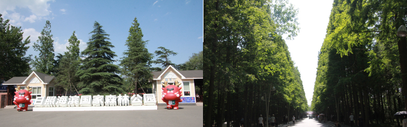 日照濱海國家森林公園